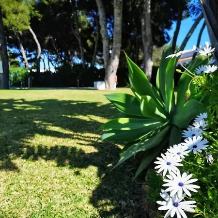 Apartment ¡nuevo! Zona Tranquila Cerca De La Playa De La Carihuela Torremolinos